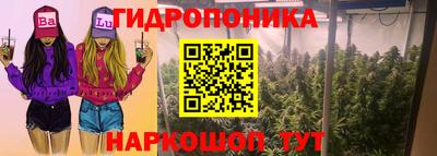 PSILOCYBIN Краснокаменск