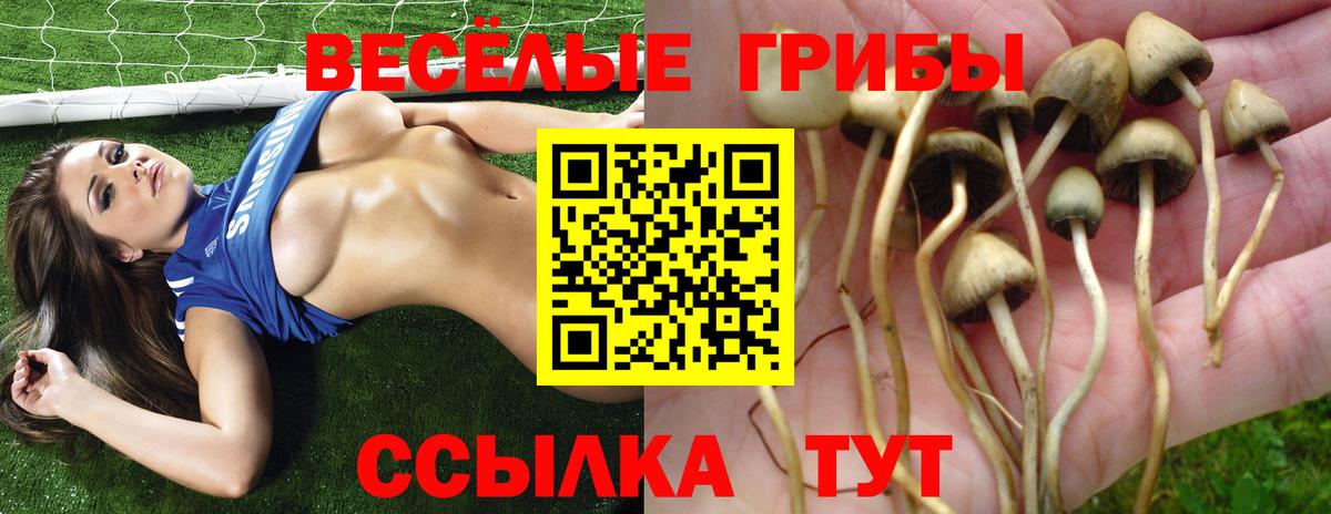 Галлюциногенные грибы ЛСД  наркотики  Кирово-Чепецк  Вход с VPN 