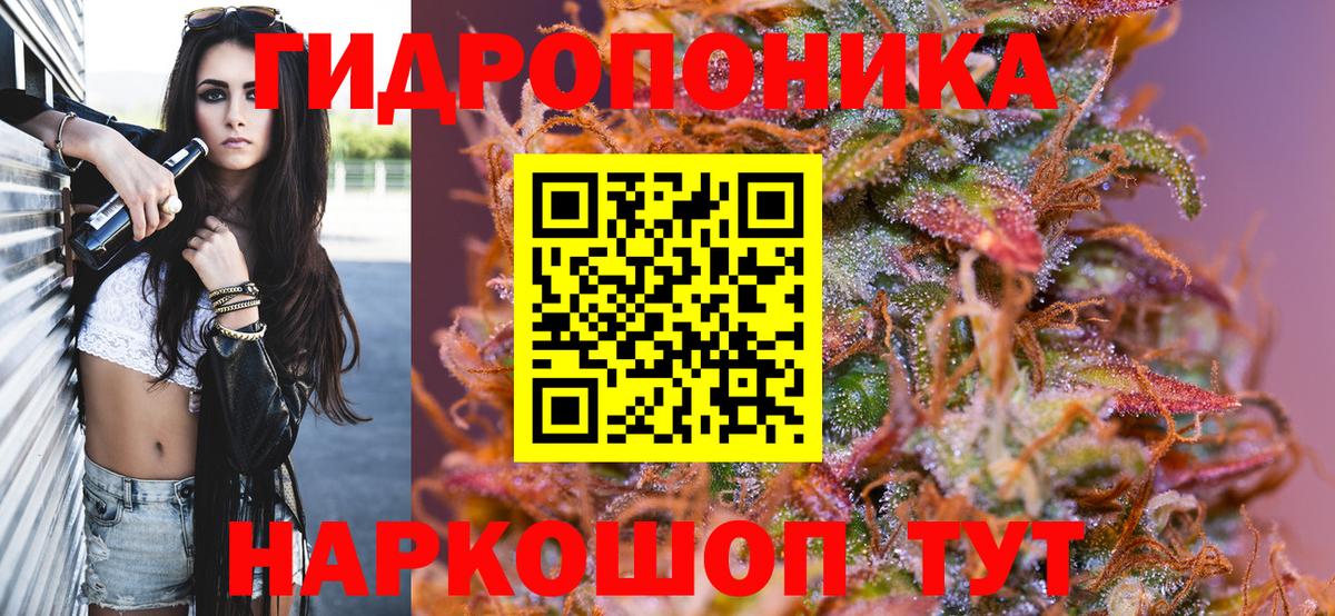 Бошки марихуана планчик  Конопля VHQ  МАРИХУАНА White Widow  Кирово-Чепецк  Вход с VPN 